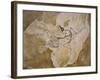 Archaeopteryx Lithographica Fossil-Naturfoto Honal-Framed Photographic Print