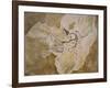 Archaeopteryx Lithographica Fossil-Naturfoto Honal-Framed Photographic Print