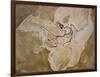 Archaeopteryx Lithographica Fossil-Naturfoto Honal-Framed Photographic Print