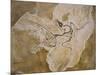 Archaeopteryx Lithographica Fossil-Naturfoto Honal-Mounted Photographic Print