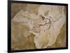 Archaeopteryx Lithographica Fossil-Naturfoto Honal-Framed Photographic Print