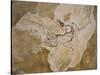 Archaeopteryx Lithographica Fossil-Naturfoto Honal-Stretched Canvas