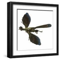 Archaeopteryx Prehistoric Bird-Stocktrek Images-Framed Art Print