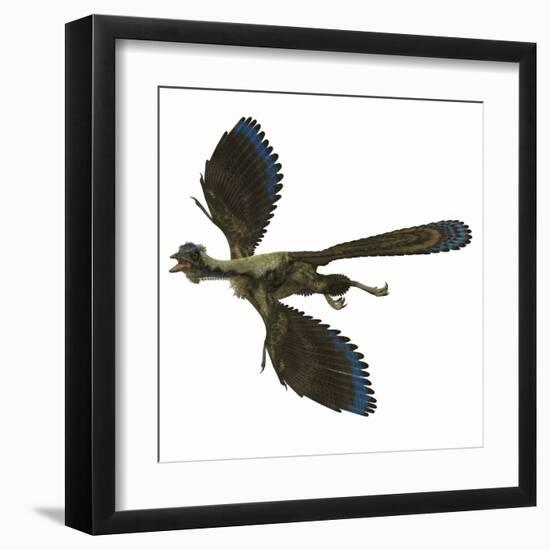 Archaeopteryx Prehistoric Bird-Stocktrek Images-Framed Art Print