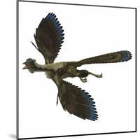 Archaeopteryx Prehistoric Bird-Stocktrek Images-Mounted Art Print