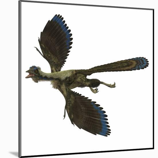 Archaeopteryx Prehistoric Bird-Stocktrek Images-Mounted Art Print