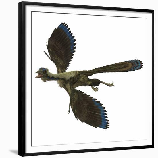 Archaeopteryx Prehistoric Bird-Stocktrek Images-Framed Premium Giclee Print