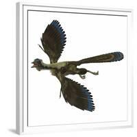 Archaeopteryx Prehistoric Bird-Stocktrek Images-Framed Premium Giclee Print