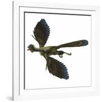 Archaeopteryx Prehistoric Bird-Stocktrek Images-Framed Art Print