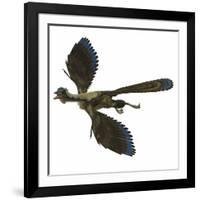 Archaeopteryx Prehistoric Bird-Stocktrek Images-Framed Art Print