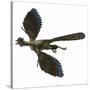 Archaeopteryx Prehistoric Bird-Stocktrek Images-Stretched Canvas