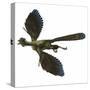 Archaeopteryx Prehistoric Bird-Stocktrek Images-Stretched Canvas