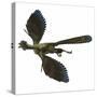 Archaeopteryx Prehistoric Bird-Stocktrek Images-Stretched Canvas