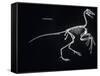 Archaeopteryx Skeleton, Dinosaurs-Encyclopaedia Britannica-Framed Stretched Canvas