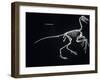 Archaeopteryx Skeleton, Dinosaurs-Encyclopaedia Britannica-Framed Art Print