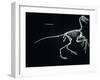 Archaeopteryx Skeleton, Dinosaurs-Encyclopaedia Britannica-Framed Art Print