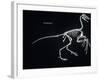 Archaeopteryx Skeleton, Dinosaurs-Encyclopaedia Britannica-Framed Art Print