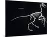 Archaeopteryx Skeleton, Dinosaurs-Encyclopaedia Britannica-Mounted Art Print