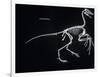 Archaeopteryx Skeleton, Dinosaurs-Encyclopaedia Britannica-Framed Art Print