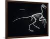 Archaeopteryx Skeleton, Dinosaurs-Encyclopaedia Britannica-Framed Art Print