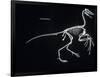 Archaeopteryx Skeleton, Dinosaurs-Encyclopaedia Britannica-Framed Art Print