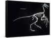 Archaeopteryx Skeleton, Dinosaurs-Encyclopaedia Britannica-Framed Stretched Canvas