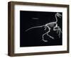 Archaeopteryx Skeleton, Dinosaurs-Encyclopaedia Britannica-Framed Art Print