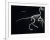 Archaeopteryx Skeleton, Dinosaurs-Encyclopaedia Britannica-Framed Art Print