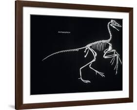 Archaeopteryx Skeleton, Dinosaurs-Encyclopaedia Britannica-Framed Art Print