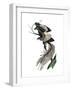 Archaeopteryx - the First Bird, 1886-null-Framed Giclee Print