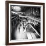 Archalizer-Craig Roberts-Framed Photographic Print