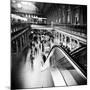 Archalizer-Craig Roberts-Mounted Photographic Print