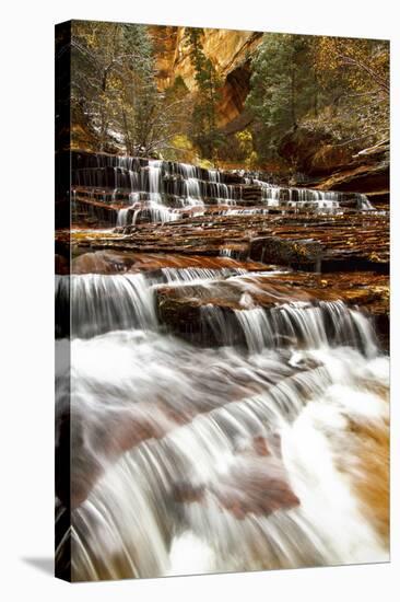 Archangel Falls Lies Near the Subway in Zion National Park, Utah-Clint Losee-Stretched Canvas