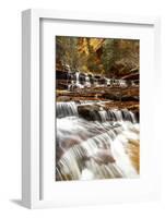 Archangel Falls Lies Near the Subway in Zion National Park, Utah-Clint Losee-Framed Photographic Print