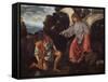 Archangel Raphael and Tobias (Tobias and the Angel)-Giovanni Girolamo-Framed Stretched Canvas