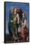 Archangel Raphael with Tobias-Andrea del Sarto-Framed Stretched Canvas