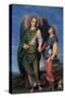 Archangel Raphael with Tobias-Andrea del Sarto-Stretched Canvas