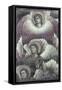 Archangel Seraphim-Pietro Cavallini-Framed Stretched Canvas