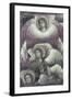 Archangel Seraphim-Pietro Cavallini-Framed Giclee Print