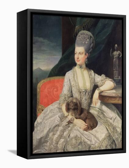 Archduchess Maria Christine Habsburg-Lothringen (1742-98), Daughter of Empress Maria Theresa of Aus-Johann Zoffany-Framed Stretched Canvas