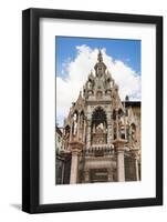 Arche Scaligere-Nico-Framed Photographic Print