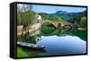 Arched Bridge Reflected in Crnojevica River, Montenegro-Donyanedomam-Framed Stretched Canvas