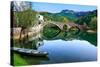 Arched Bridge Reflected in Crnojevica River, Montenegro-Donyanedomam-Stretched Canvas