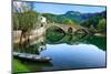 Arched Bridge Reflected in Crnojevica River, Montenegro-Donyanedomam-Mounted Photographic Print