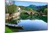 Arched Bridge Reflected in Crnojevica River, Montenegro-Donyanedomam-Mounted Photographic Print