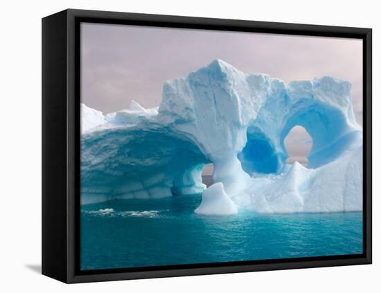 Arched Iceberg, Western Antarctic Peninsula, Antarctica-Steve Kazlowski-Framed Stretched Canvas