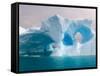 Arched Iceberg, Western Antarctic Peninsula, Antarctica-Steve Kazlowski-Framed Stretched Canvas