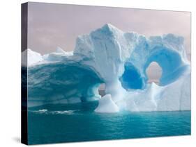 Arched Iceberg, Western Antarctic Peninsula, Antarctica-Steve Kazlowski-Stretched Canvas