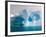 Arched Iceberg, Western Antarctic Peninsula, Antarctica-Steve Kazlowski-Framed Photographic Print