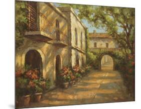 Arched Passageway-Enrique Bolo-Mounted Art Print